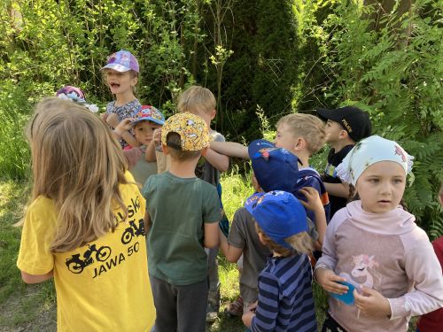 Fotoalbum MDD s MŠ Studánka