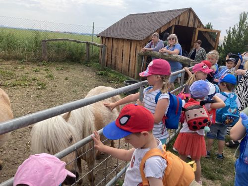 Fotoalbum Stěžery