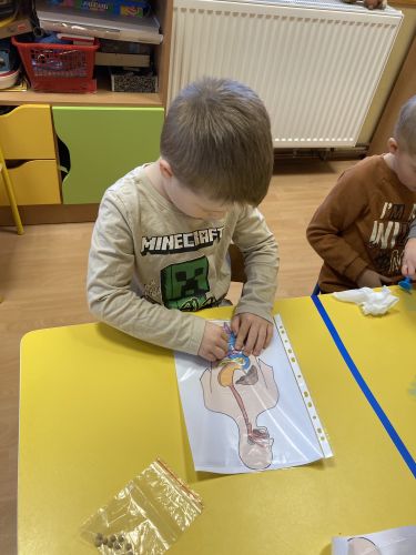 Fotoalbum Naše tělo-zdraví