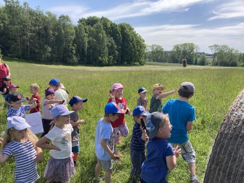 Fotoalbum MDD s MŠ Studánka