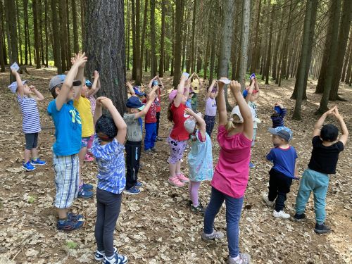 Fotoalbum MDD s MŠ Studánka