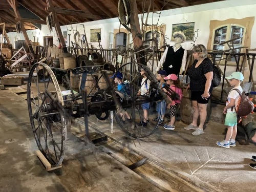 Fotogalerie MŠ Červená Hora - Výlet Kuks, foto 3/62