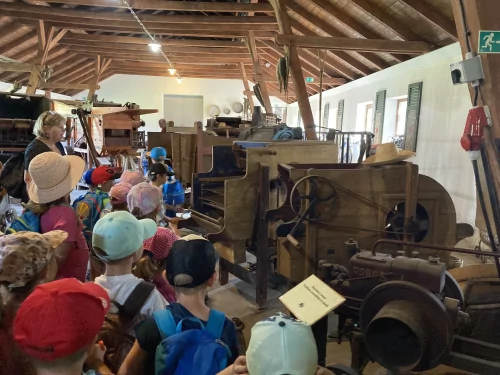 Fotogalerie MŠ Červená Hora - Výlet Kuks, foto 6/62