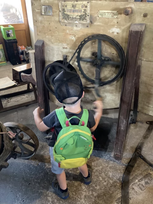 Fotogalerie MŠ Červená Hora - Výlet Kuks, foto 7/62