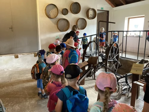 Fotogalerie MŠ Červená Hora - Výlet Kuks, foto 9/62