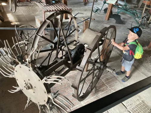 Fotogalerie MŠ Červená Hora - Výlet Kuks, foto 10/62