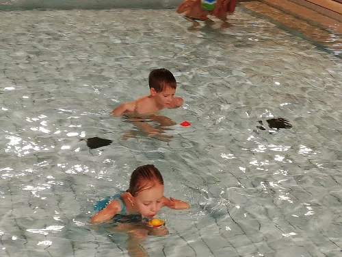 Fotogalerie MŠ Červená Hora - Plavecký kurz Náchod - 13.listopadu 2019 - 29. ledna 2020, foto 16/29