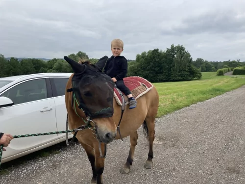 Fotogalerie MŠ Červená Hora - Oslava 50.let MŠ Červená Hora, foto 8/37