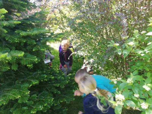 Fotogalerie MŠ Červená Hora - Dětský den, foto 4/37