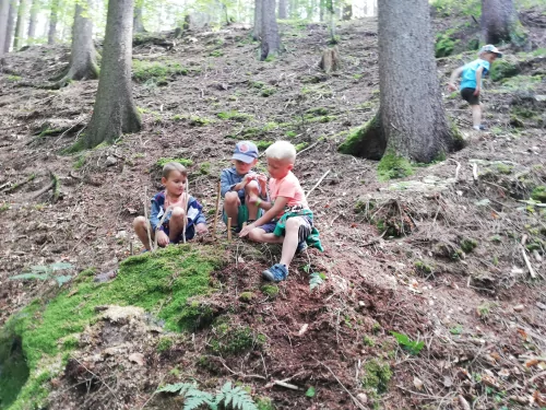Fotogalerie MŠ Červená Hora - U řeky Úpy a na borůvkách, foto 4/20
