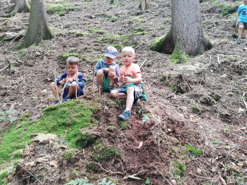 Fotogalerie MŠ Červená Hora - U řeky Úpy a na borůvkách, foto 5/20