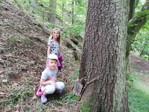 Fotogalerie MŠ Červená Hora - U řeky Úpy a na borůvkách, foto 6/20