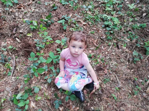 Fotogalerie MŠ Červená Hora - U řeky Úpy a na borůvkách, foto 9/20