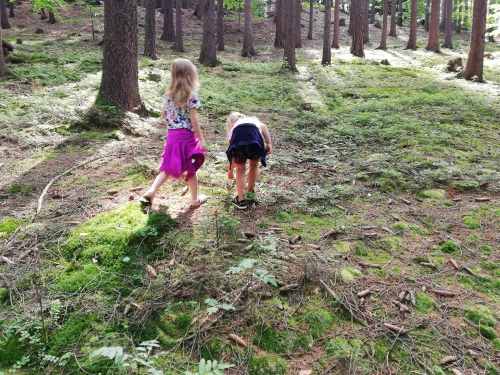 Fotogalerie MŠ Červená Hora - U řeky Úpy a na borůvkách, foto 11/20