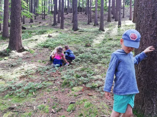 Fotogalerie MŠ Červená Hora - U řeky Úpy a na borůvkách, foto 14/20