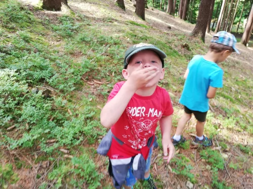 Fotogalerie MŠ Červená Hora - U řeky Úpy a na borůvkách, foto 17/20