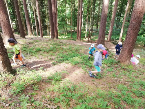 Fotogalerie MŠ Červená Hora - U řeky Úpy a na borůvkách, foto 19/20