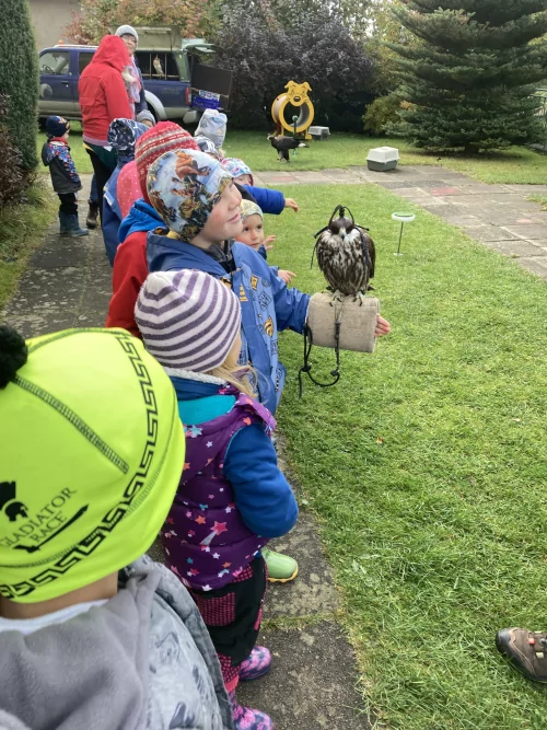 Fotogalerie MŠ Červená Hora - Dopoledne s dravci, foto 11/17