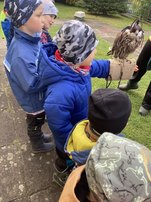 Fotogalerie MŠ Červená Hora - Dopoledne s dravci, foto 12/17