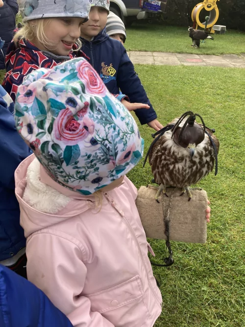 Fotogalerie MŠ Červená Hora - Dopoledne s dravci, foto 13/17