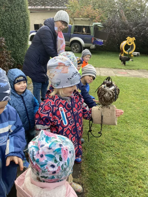 Fotogalerie MŠ Červená Hora - Dopoledne s dravci, foto 14/17