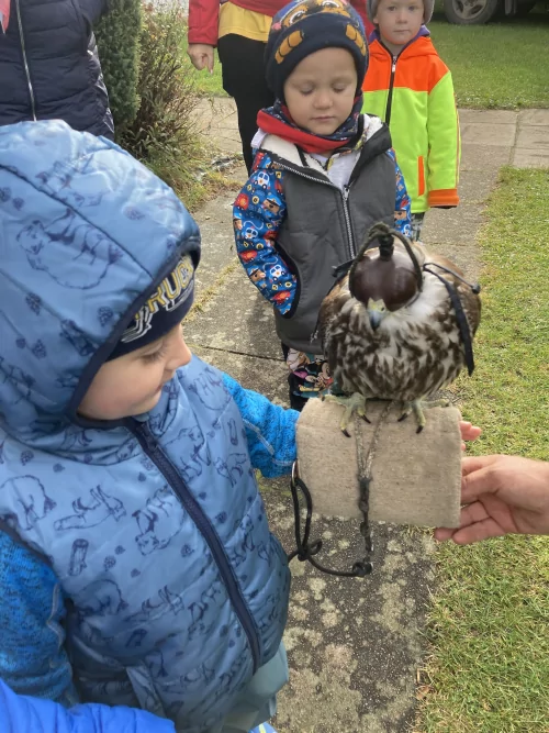 Fotogalerie MŠ Červená Hora - Dopoledne s dravci, foto 15/17