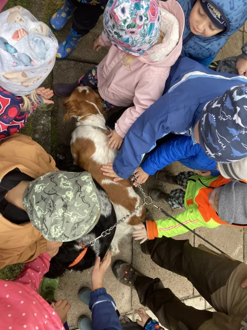 Fotogalerie MŠ Červená Hora - Dopoledne s dravci, foto 16/17