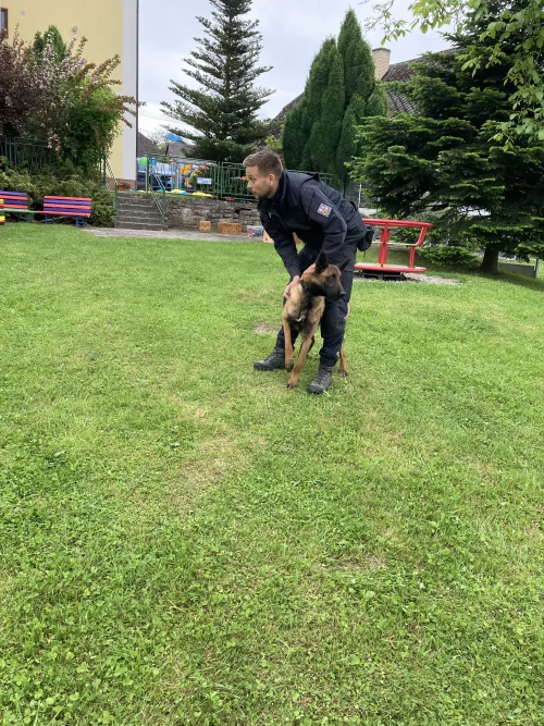 Fotogalerie MŠ Červená Hora - Psovodi v MŠ, foto 9/20