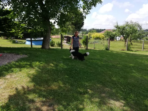 Fotogalerie MŠ Červená Hora - Agility v MŠ Červená Hora s p. Řehákovou -září, foto 5/6