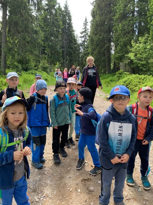 Fotogalerie MŠ Červená Hora - Výlet do Krkonoš na Černou horu, foto 34/49