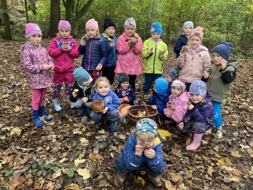 Fotogalerie MŠ Červená Hora - Říjen ve školce 2024, foto 12/20