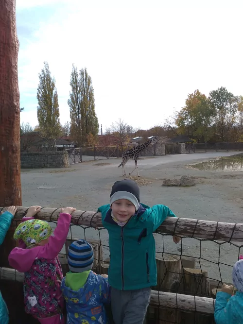 Fotogalerie MŠ Červená Hora - Haloweenn v ZOO Dvůr Králové nad Labem - listopad, foto 8/8