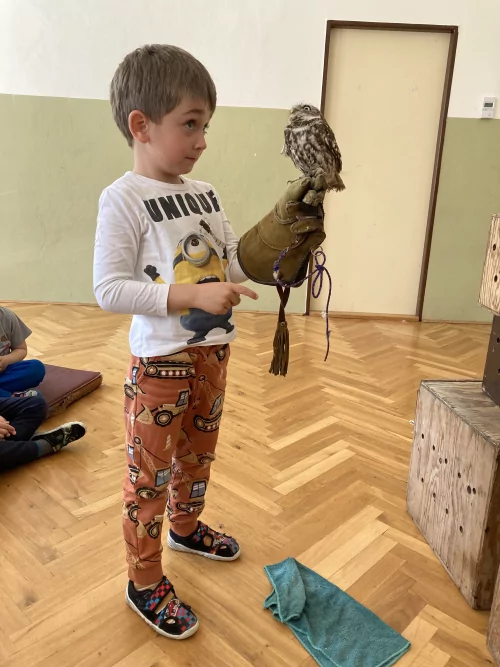 Fotogalerie MŠ Červená Hora - Dravci paní Mazúchové v MŠ, foto 2/22