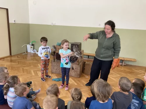 Fotogalerie MŠ Červená Hora - Dravci paní Mazúchové v MŠ, foto 3/22