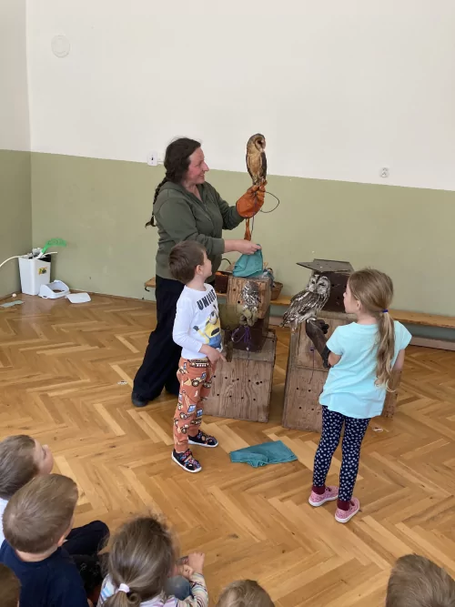 Fotogalerie MŠ Červená Hora - Dravci paní Mazúchové v MŠ, foto 4/22