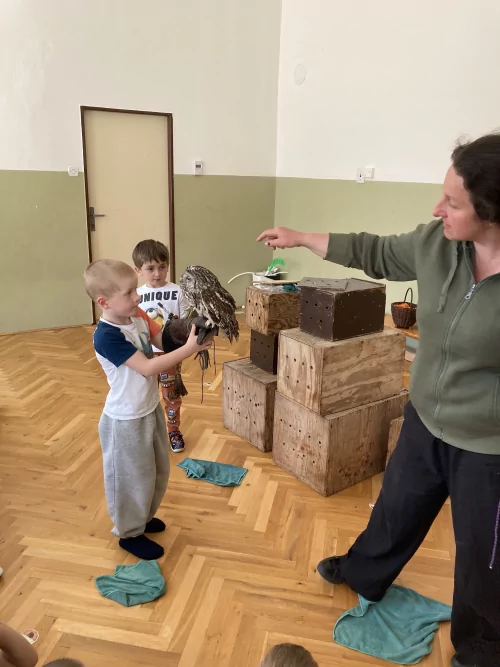 Fotogalerie MŠ Červená Hora - Dravci paní Mazúchové v MŠ, foto 6/22