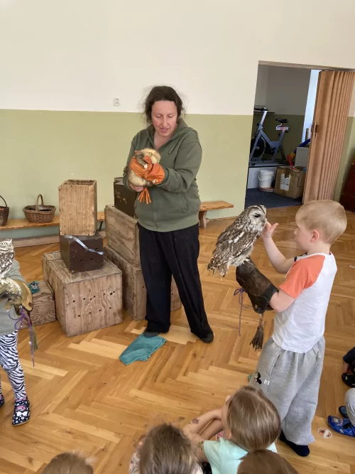 Fotogalerie MŠ Červená Hora - Dravci paní Mazúchové v MŠ, foto 12/22