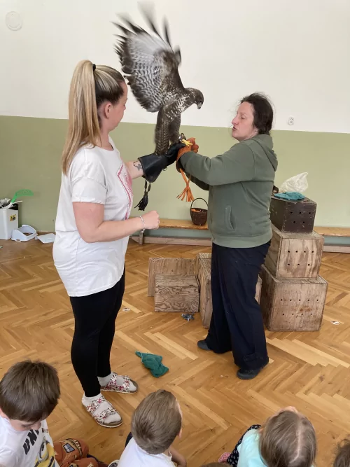 Fotogalerie MŠ Červená Hora - Dravci paní Mazúchové v MŠ, foto 16/22