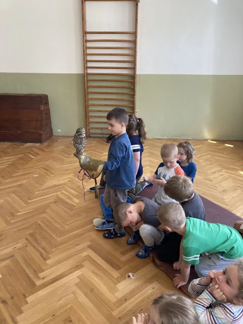 Fotogalerie MŠ Červená Hora - Dravci paní Mazúchové v MŠ, foto 17/22