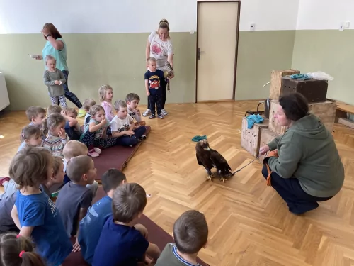 Fotogalerie MŠ Červená Hora - Dravci paní Mazúchové v MŠ, foto 20/22