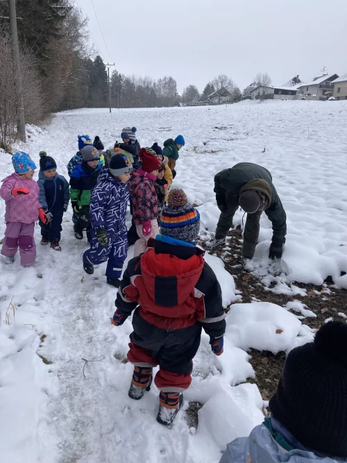 Fotogalerie MŠ Červená Hora - U krmelce, foto 2/15