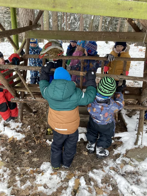 Fotogalerie MŠ Červená Hora - U krmelce, foto 3/15