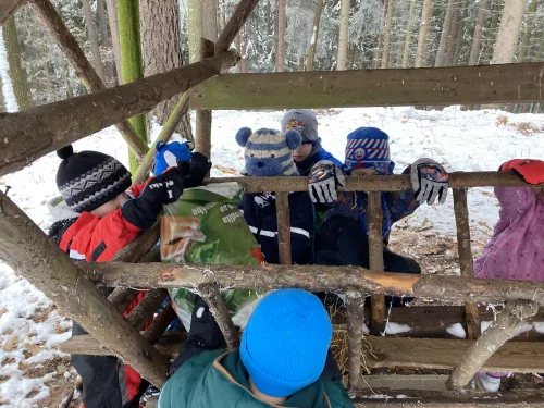 Fotogalerie MŠ Červená Hora - U krmelce, foto 4/15