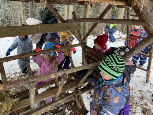 Fotogalerie MŠ Červená Hora - U krmelce, foto 5/15