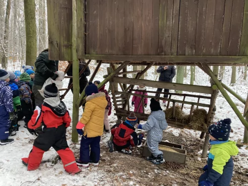Fotogalerie MŠ Červená Hora - U krmelce, foto 7/15