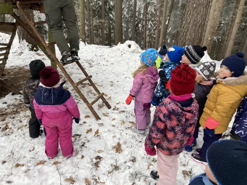 Fotogalerie MŠ Červená Hora - U krmelce, foto 8/15
