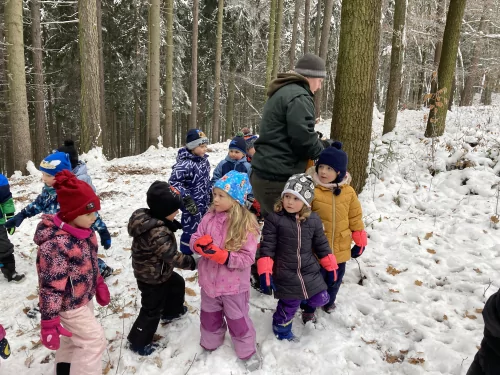 Fotogalerie MŠ Červená Hora - U krmelce, foto 10/15
