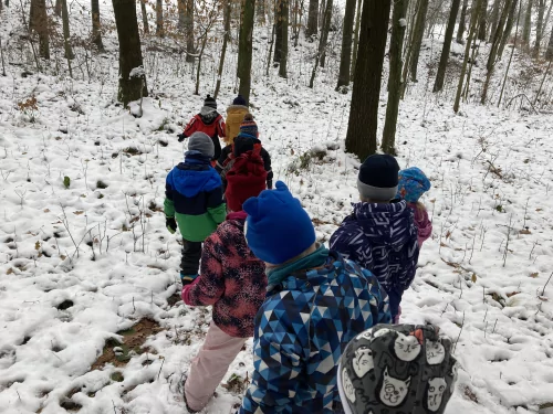 Fotogalerie MŠ Červená Hora - U krmelce, foto 11/15