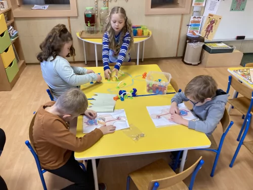 Fotogalerie MŠ Červená Hora - Naše tělo-zdraví, foto 3/28