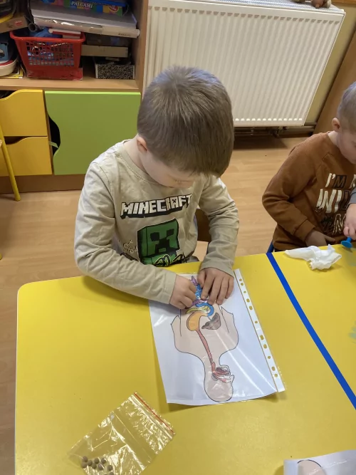 Fotogalerie MŠ Červená Hora - Naše tělo-zdraví, foto 6/28